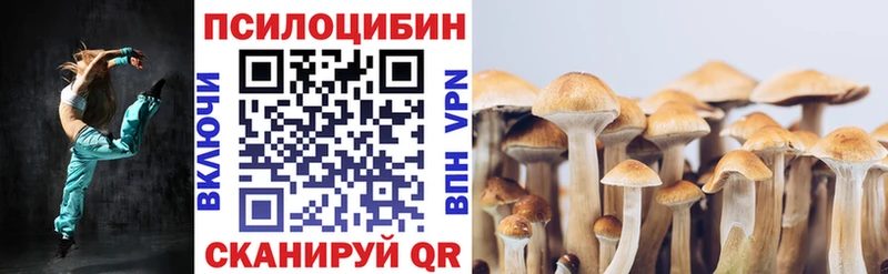 Галлюциногенные грибы Psilocybine cubensis Кола